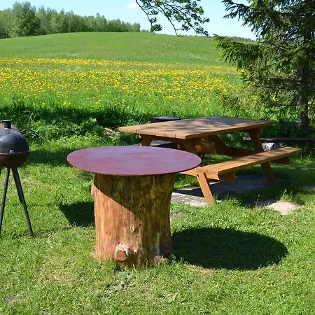 Puhkemaja Paju Holiday *